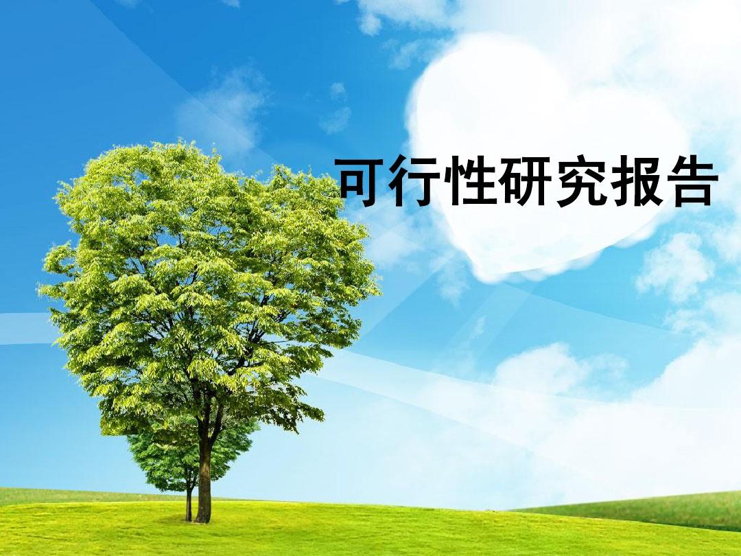 项目可行性研究